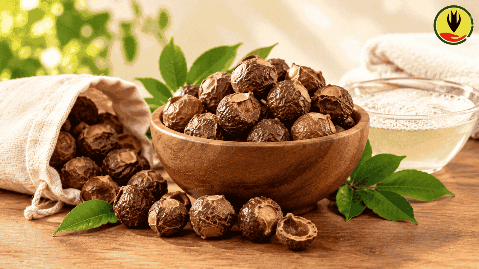 Soapnuts